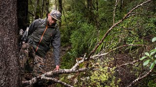 Switchback Jacket