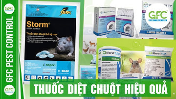 TOP 3 LOẠI THUỐC DIỆT CHUỘT HIỆU QUẢ | GFC