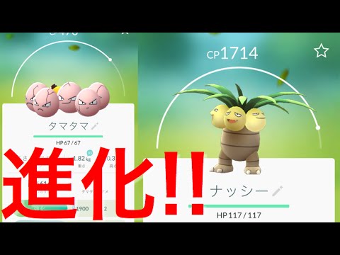 ポケモンgo ナッシーに進化 タマタマを進化させてみた Cp1600超え Pokemon Go Youtube