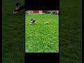 funny