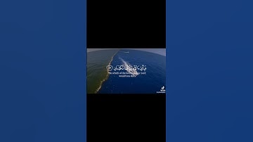 مرج البحرين يلتقيان حالات واتس اب تلاوة خاشعة القارئ ياسر الدوسري🌿القران الكريم راحة نفسية😴💙#quran