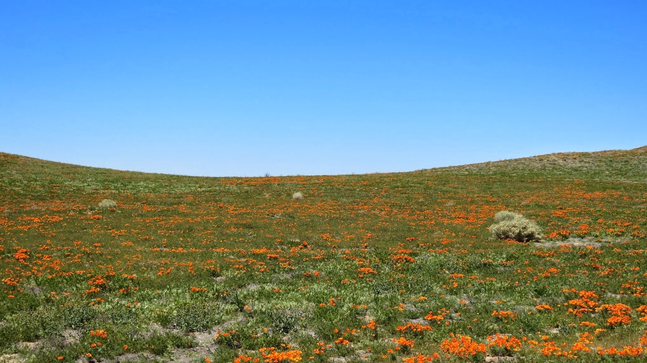 Comunidad Cristiana de Camarma