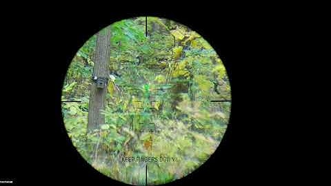 Kill shot, 7 point Buck - Ravin R10