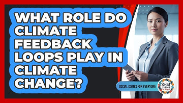 What Role Do Climate Feedback Loops Play In Climate Change?