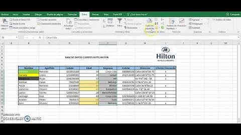 Actividad Excel - Formato Condicional y Validación de datos