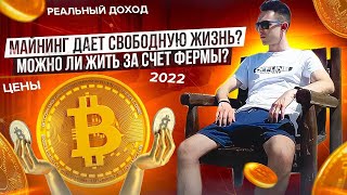 Майнинг = свободная жизнь? Можно ли жить за счет фермы? Мой доход. Майнинг в 2022 году.