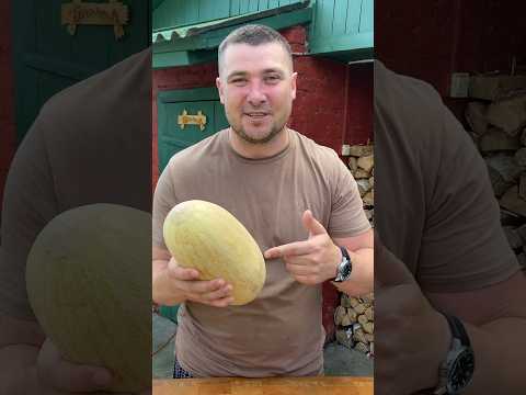 Рецепт мороженого из