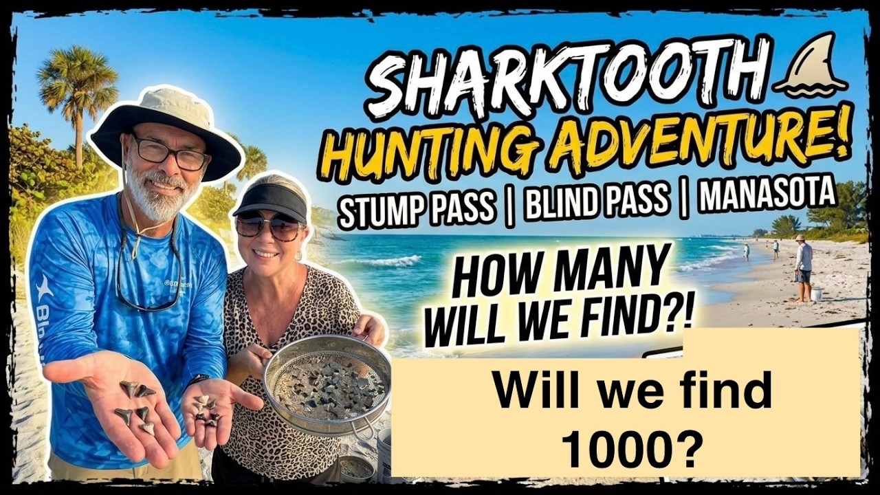 Ed & G's 4 Day Shark Tooth Hunting Adventure. Will we find 1000?