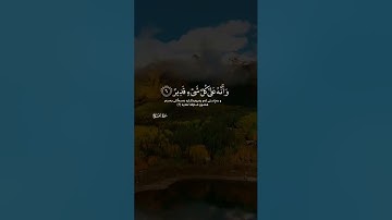 ذلك بأن الله هو الحق وأنه يحيى الموتى وأنه على كل شىء قدير سورة الحج ايات ٦ ٧ احمد خضر