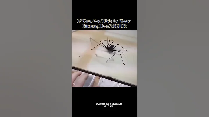 me hehe 😂 #greenscreen #stitch #duet #funny #stitchtricks