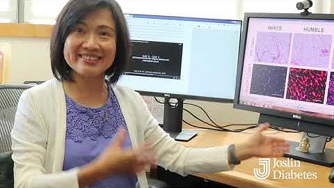 Joslin research: HUMBLE cells can improve metabolic health