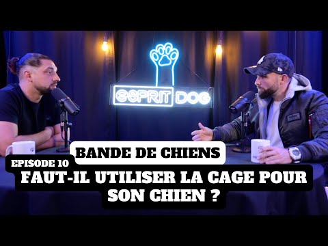 Vidéo: Pourquoi les gens mettent-ils leurs chiens en cage quand ils ne sont pas à la maison?