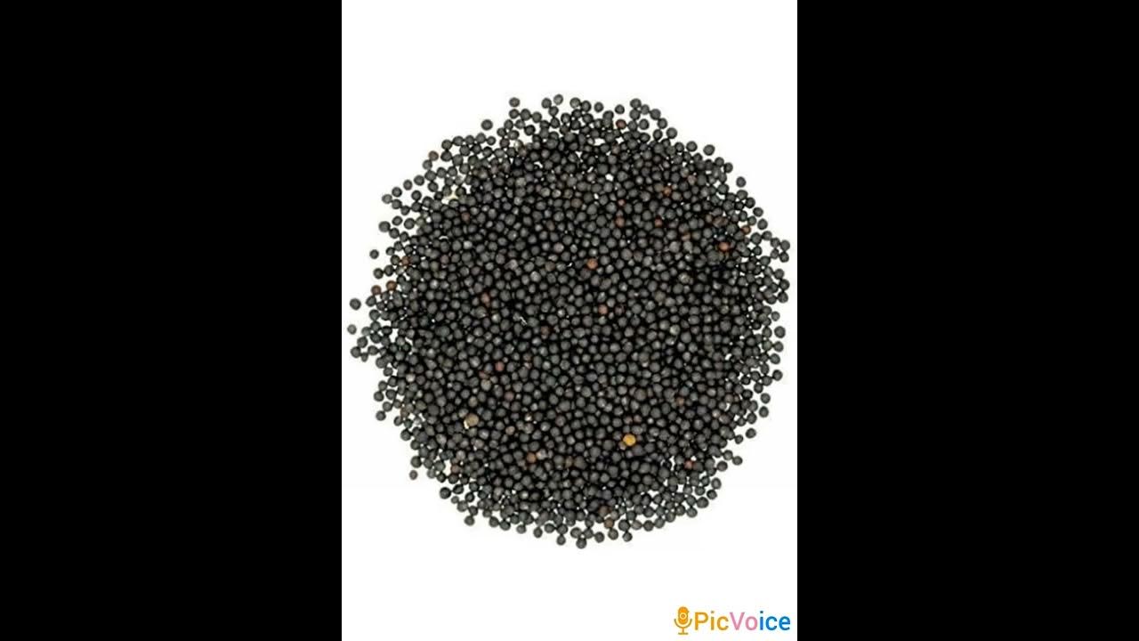 круглые семечки. круглые плоские семена. круглые семечки. кориандр (семена). Trs mustard seeds (brown) семена горчицы (коричневые) 1000г.