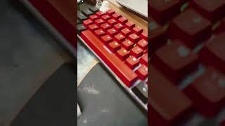 Mein Paket ist da #remix #roblox #lifeisbutadream #funny #ihavethisthingwithplants #fortnite #memes