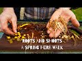 Shoots and Roots | Spring Herb Walk