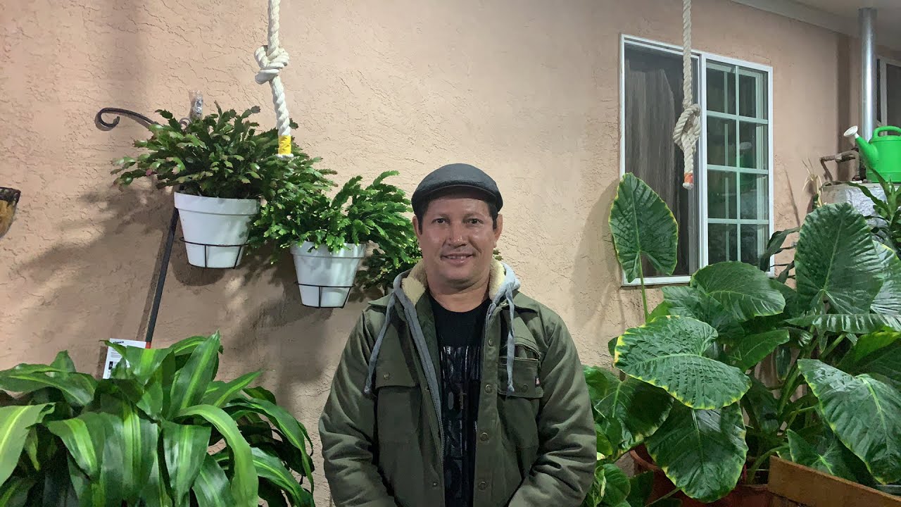 Lectio divina. Padre Luis Toro