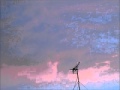 squall