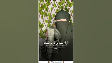 تلاوة خاشعة لسورة غافر