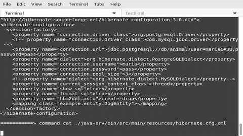 Programming {{ java sbt blade hibernate postgres }} ssl api