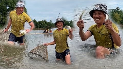 Đẩy Côn Miền Tây | Mùa Nước Nổi Bắt Cá Lóc Đồng Là Vui Nhất