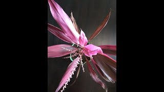 Миниатюра для видео