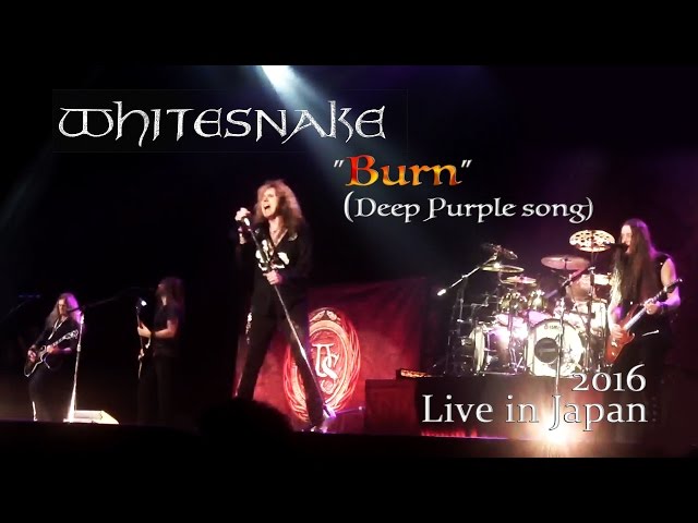 【貴重音源LP】WHITESNAKE / Live In Japan Amazon | Live in Japan 1980 | Whitesnake | ヘヴィーメタル