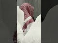 استمع الى روائع محاكاة اللحيدان بترتيل خاشع لأجمل عشائية اكسبلور عشائيات راحة نفسية القرآن استمع الى روائع محاكاة اللحيدان بترتيل خاشع لأجمل عشائية اكسبلور عشائيات راحة نفسية القرآن