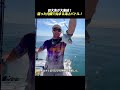 巨大魚が大集結！ 腐った内臓で始まる海上バトル！