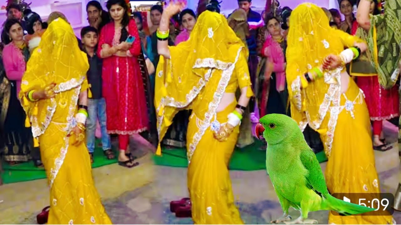 जोगिया बने श्याम राधा मिलन के कारण/ग्रेट स्टार मनोज शास्त्री नगला मांची manoj shastri #song 