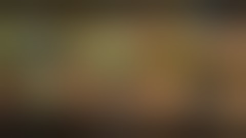 Dragon Nest 2 (Open World MMORPG)