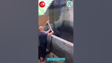 Smart Trap to Catch a Pig! 🐷💡 🐖✅ #001