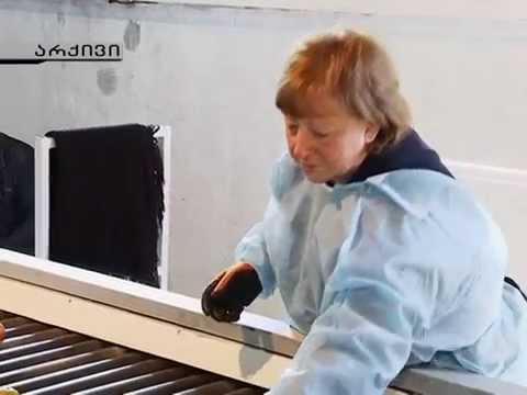 მურმან დუმბაძე მთავრობას მოუწოდებს ციტრუსზე  სუბსიდია სარეზერვო ფონდებიდან გაიცეს