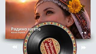 Радино цвете | Българска народна песен за хоро (Народна песен на фолклорна основа 2026)