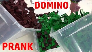 The 300,000 Domino 