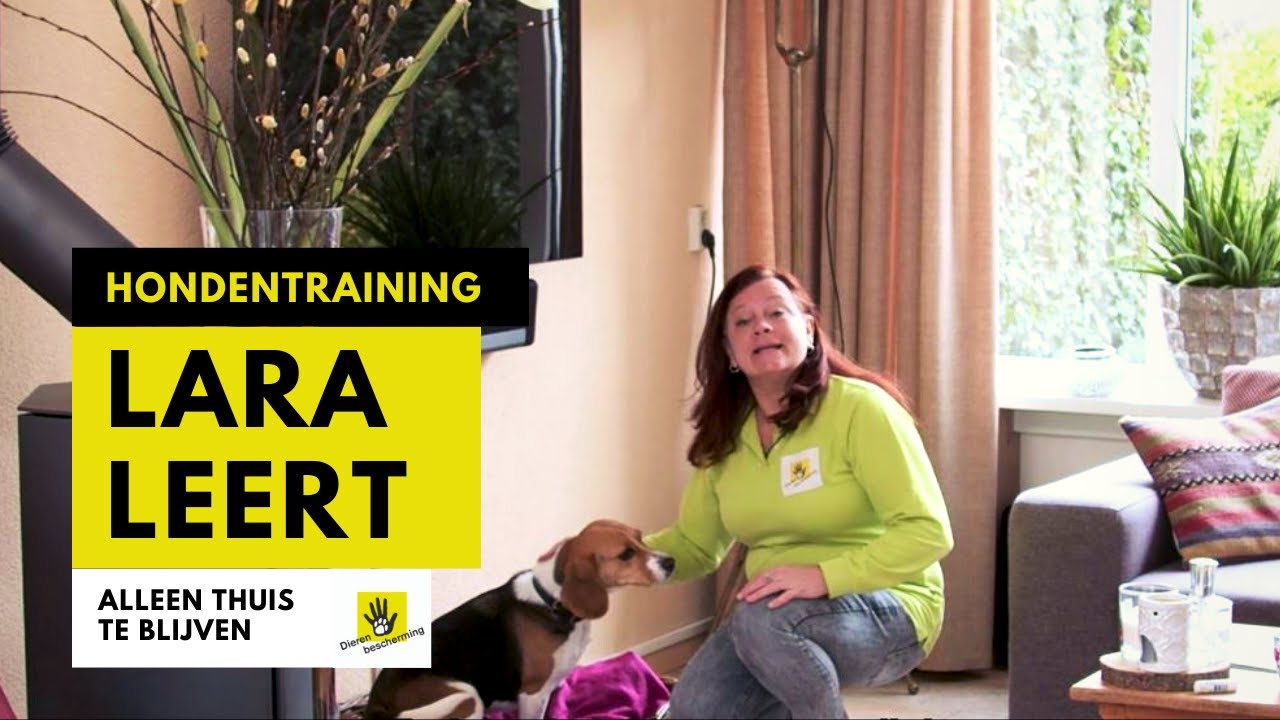Hond Lara leert alleen thuis te blijven │ Lara Leert – Seizoen 2, Les 5
