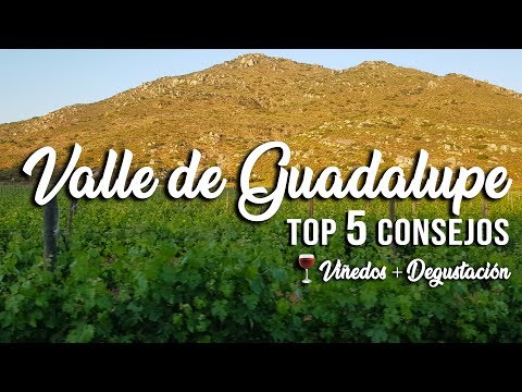 Video: Las mejores cosas para hacer en Guadalupe