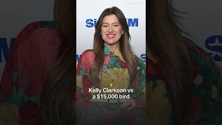 Kelly Clarkson vs a $15,000 bird