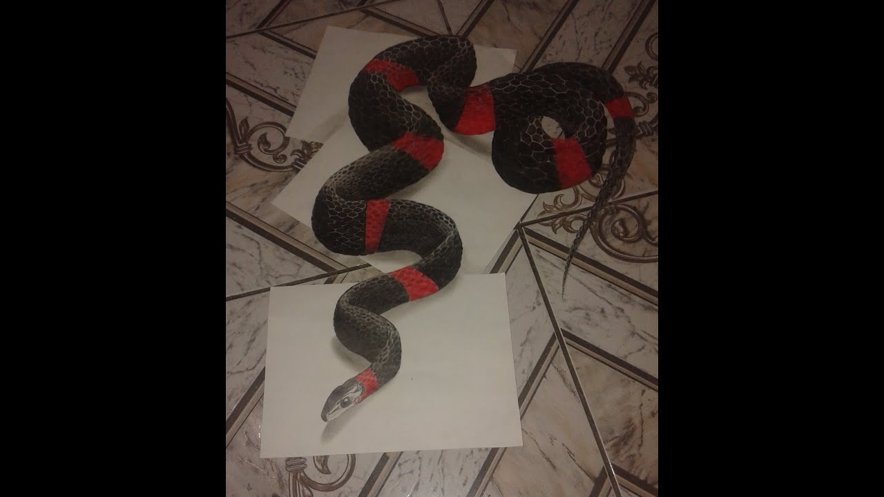 como desenhar uma cobra em 3d cobra coral 3d youtube