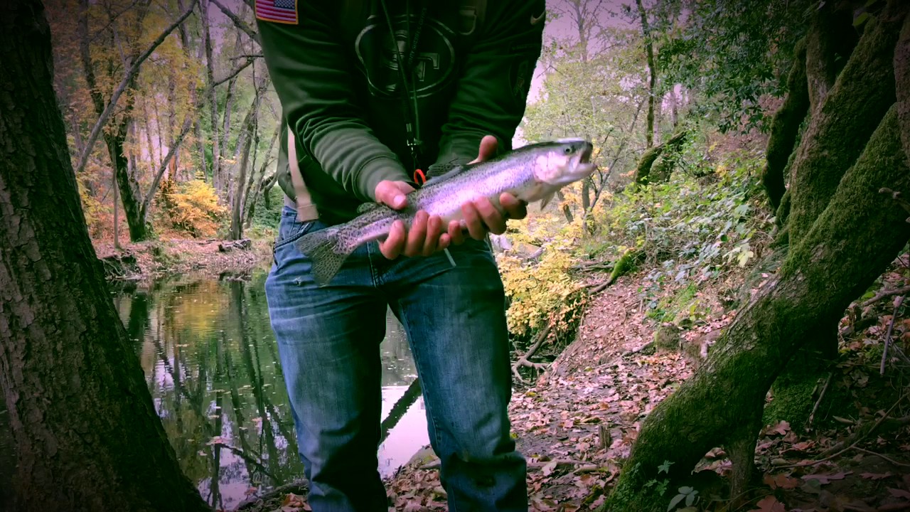 Rainbow Trout Fishing in Northern CA! YouTube