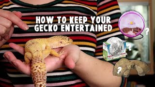 Keeping Your Leopard Gecko Entertained | Reptile Enrichment (Mental & Physical)