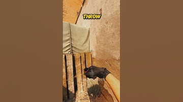 THE BEST B SPLIT SMOKE ON DUST 2 #shorts #cs2