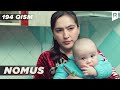 Nomus 194-qism (milliy serial) | Номус 194-кисм (миллий сериал)