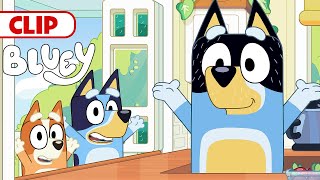 Bluey Season 3 Episode 5 'Born Yesterday' Episode Clip | @disneyjunior  | @BlueyChannel