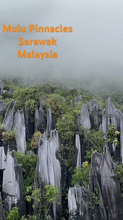 Mulu Pinnacles #pinnacles #Mulu #sarawak