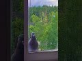 23 июня 2025 г.