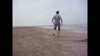 Sedi Sarvan Tural Deniz Kenari