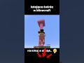 latająca świnka w minecraft