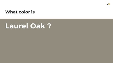 Laurel Oak color #918c7e hex color - Brown color - Cool color 918c7e
