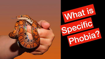 Specific Phobias: What Are They?