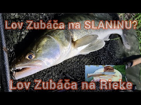 Video: Ako Uvariť Celého Zubáča V Rúre Vo Fólii